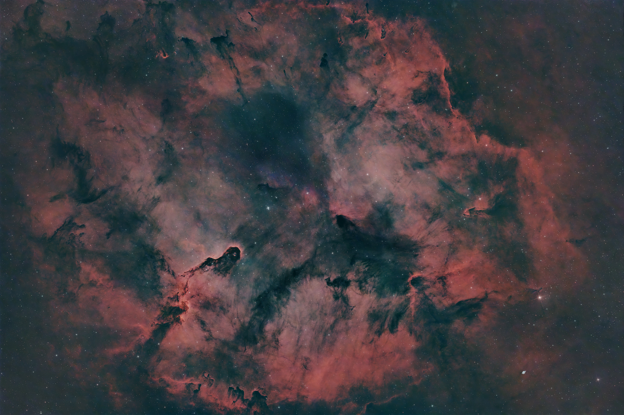 Der Elefantenrüssel Nebel IC 1396A ist eine hell berandete Globule, also eine Ansammlung von interstellarem Gas und Staub im Sternbild Kepheus. Er ist etwa 2400 Lichtjahre von der Erde entfernt.